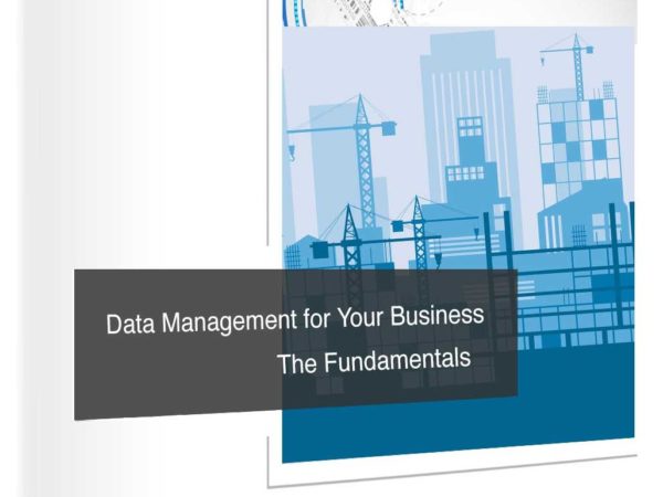 Data Management for Your Business