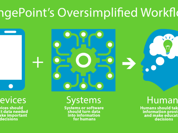 The Oversimplified Data Management Workflow