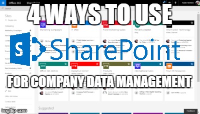 4 Ways to Use SharePoint For Company Data Management